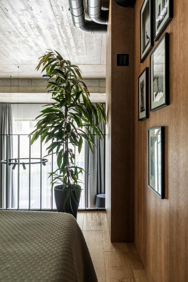 Stylish Loft With Terrace Paupys, Old Town Lejlighed VNO Eksteriør billede